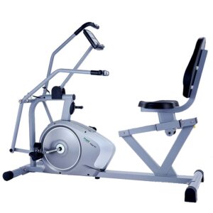 Dual Action Recumbent Bike